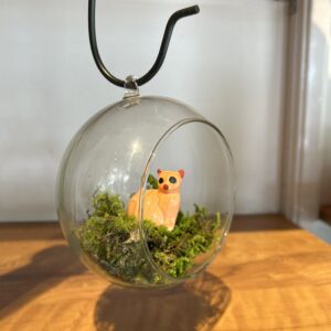 HANGING GLASS OPEN TERRARIUM - LARGE