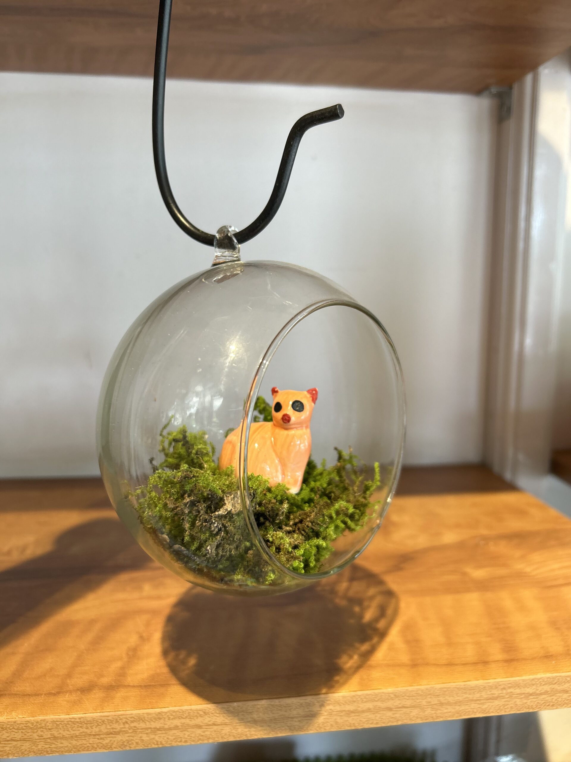 HANGING GLASS OPEN TERRARIUM - LARGE