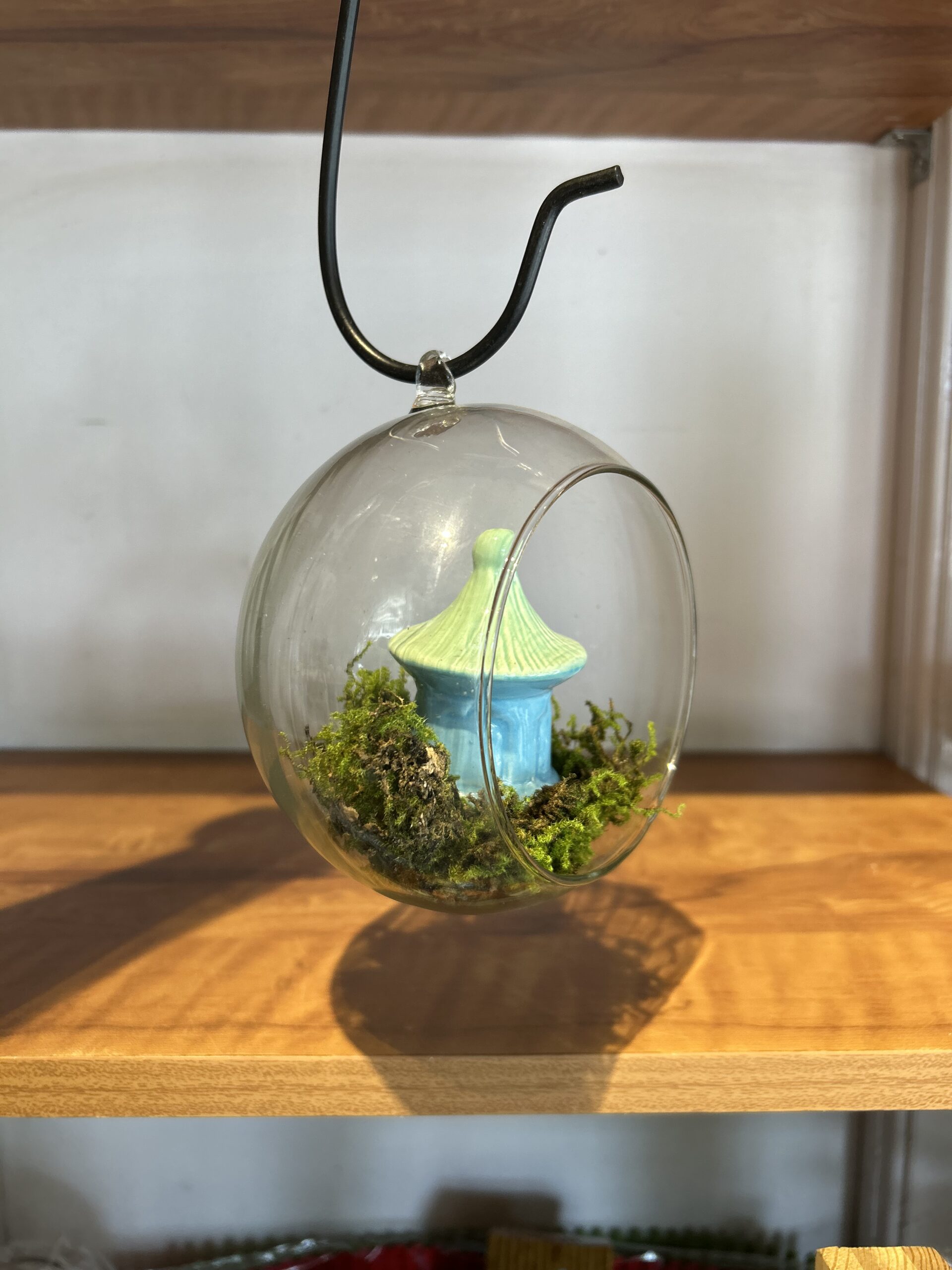 HANGING GLASS OPEN TERRARIUM - LARGE - Image 5