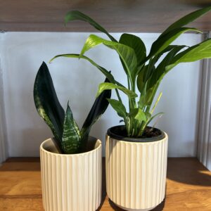 CERAMIC PLANTER - MATTE, dusty pink