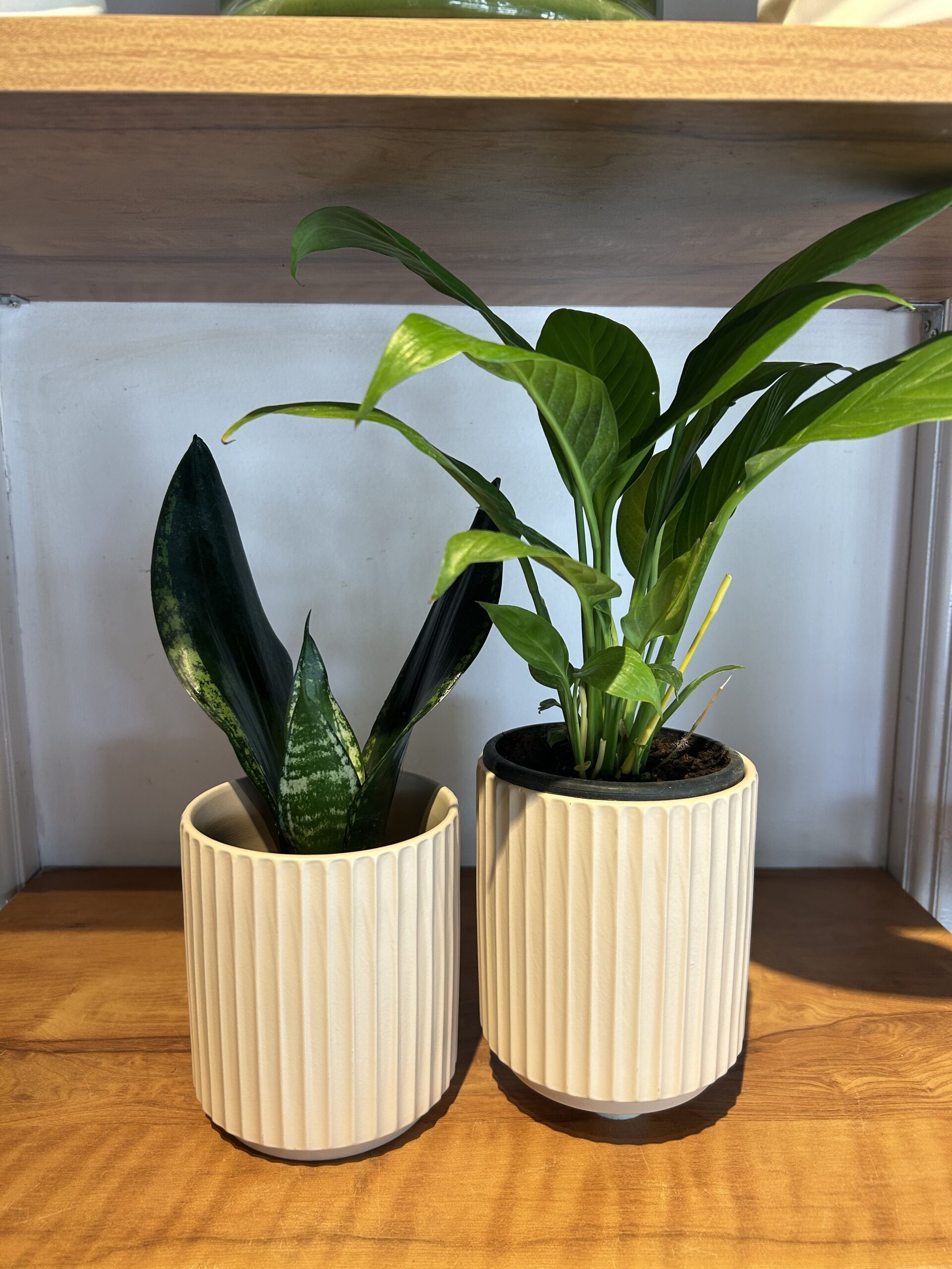 CERAMIC PLANTER - MATTE, dusty pink