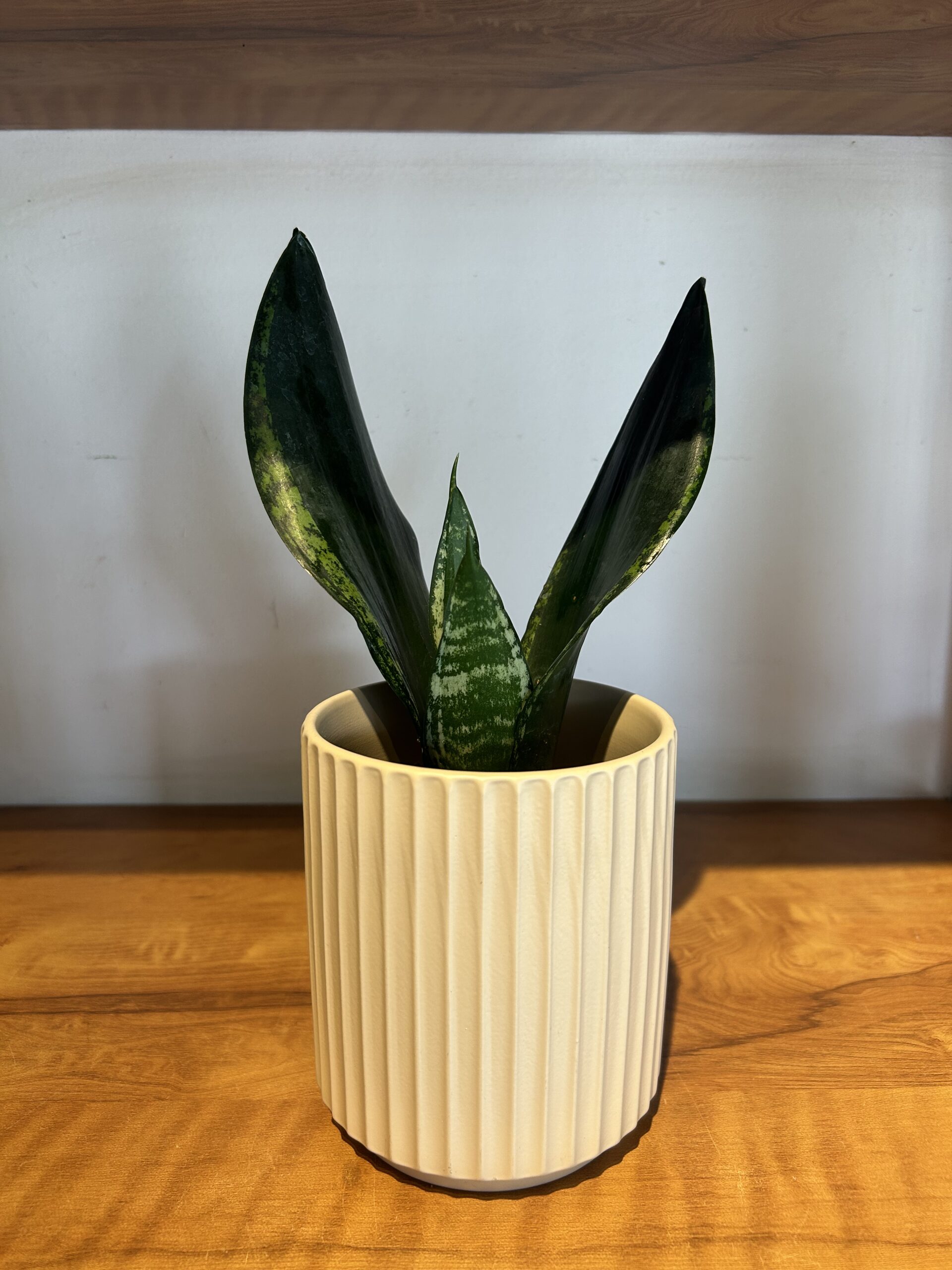 CERAMIC PLANTER - MATTE, dusty pink - Image 3