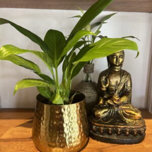 ELEGANT METAL PLANTER, gold hammered