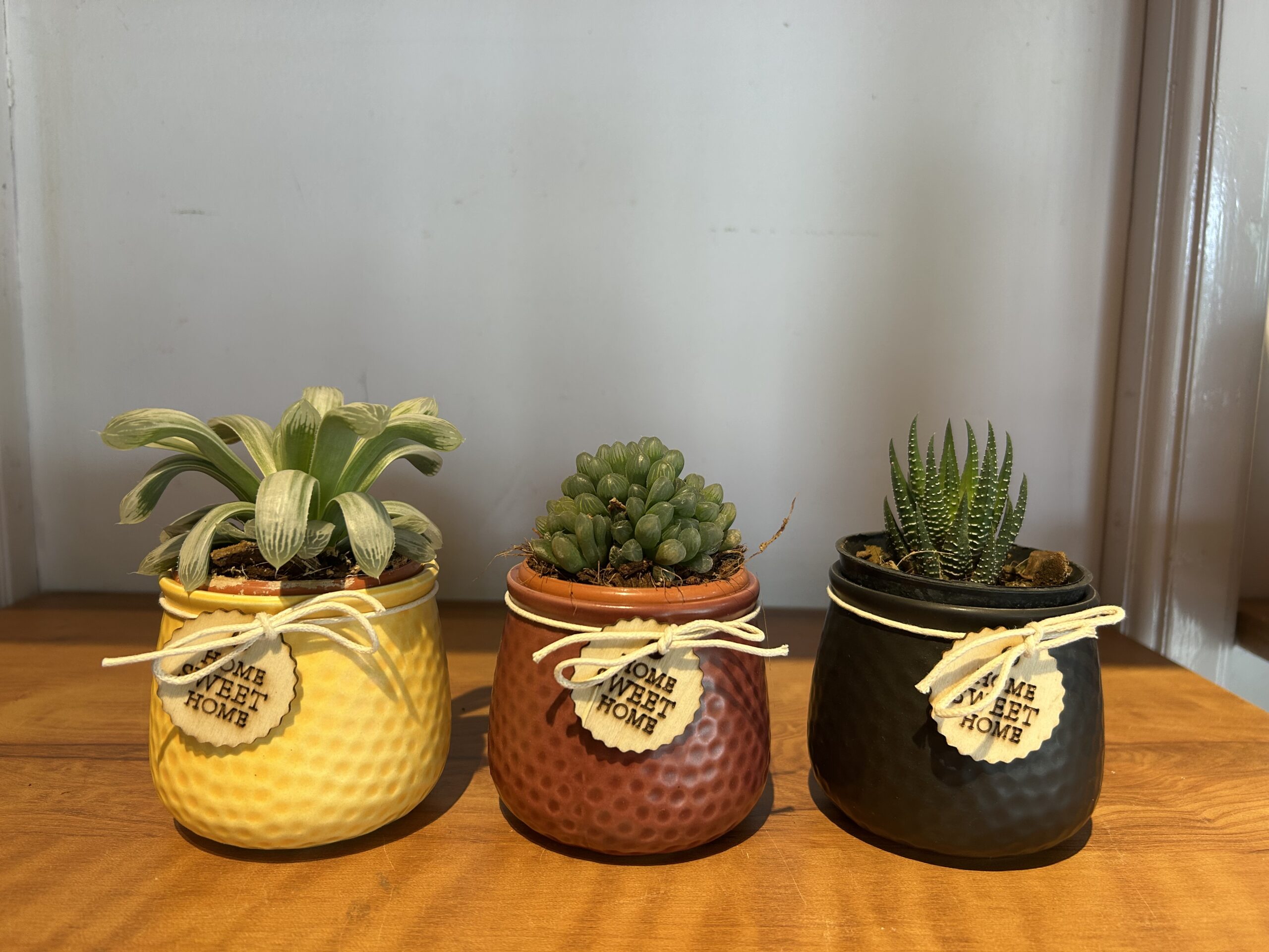 CERAMIC MINI PLANTERS - Pack of three - Image 2