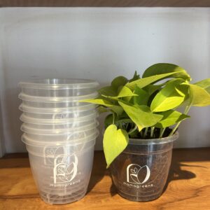 TRANSPARENT CLEAR PLANTERS