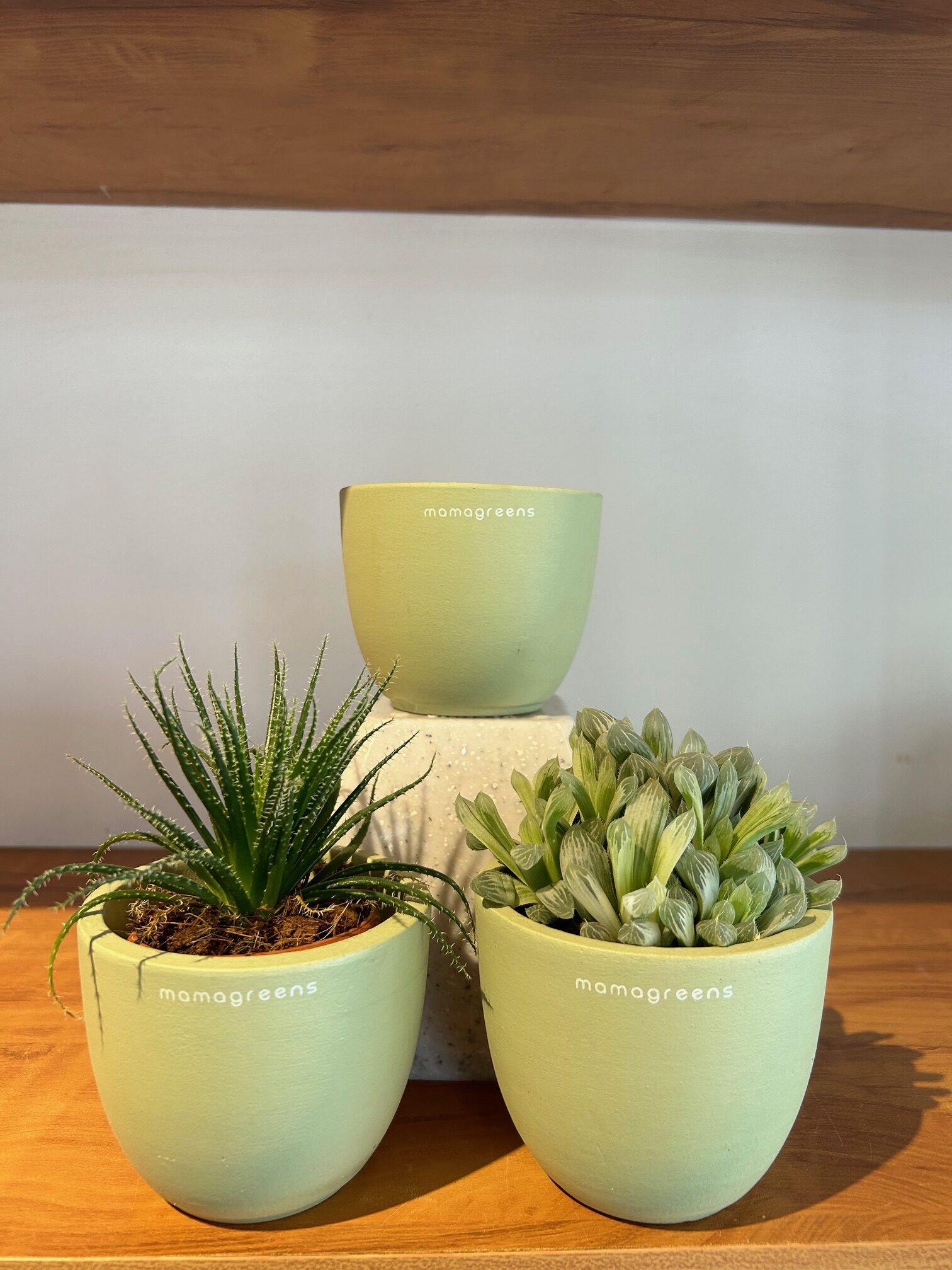 TERRACOTTA PLANTER - GREEN - Image 4