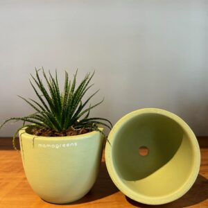 TERRACOTTA PLANTER - GREEN