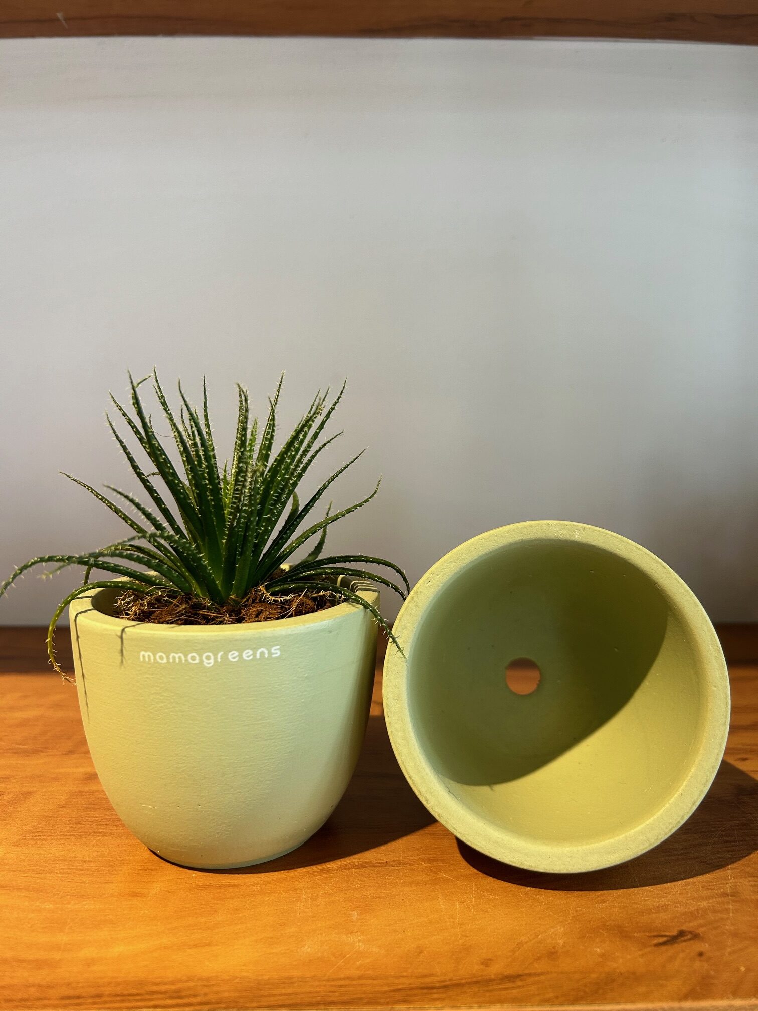 TERRACOTTA PLANTER - GREEN