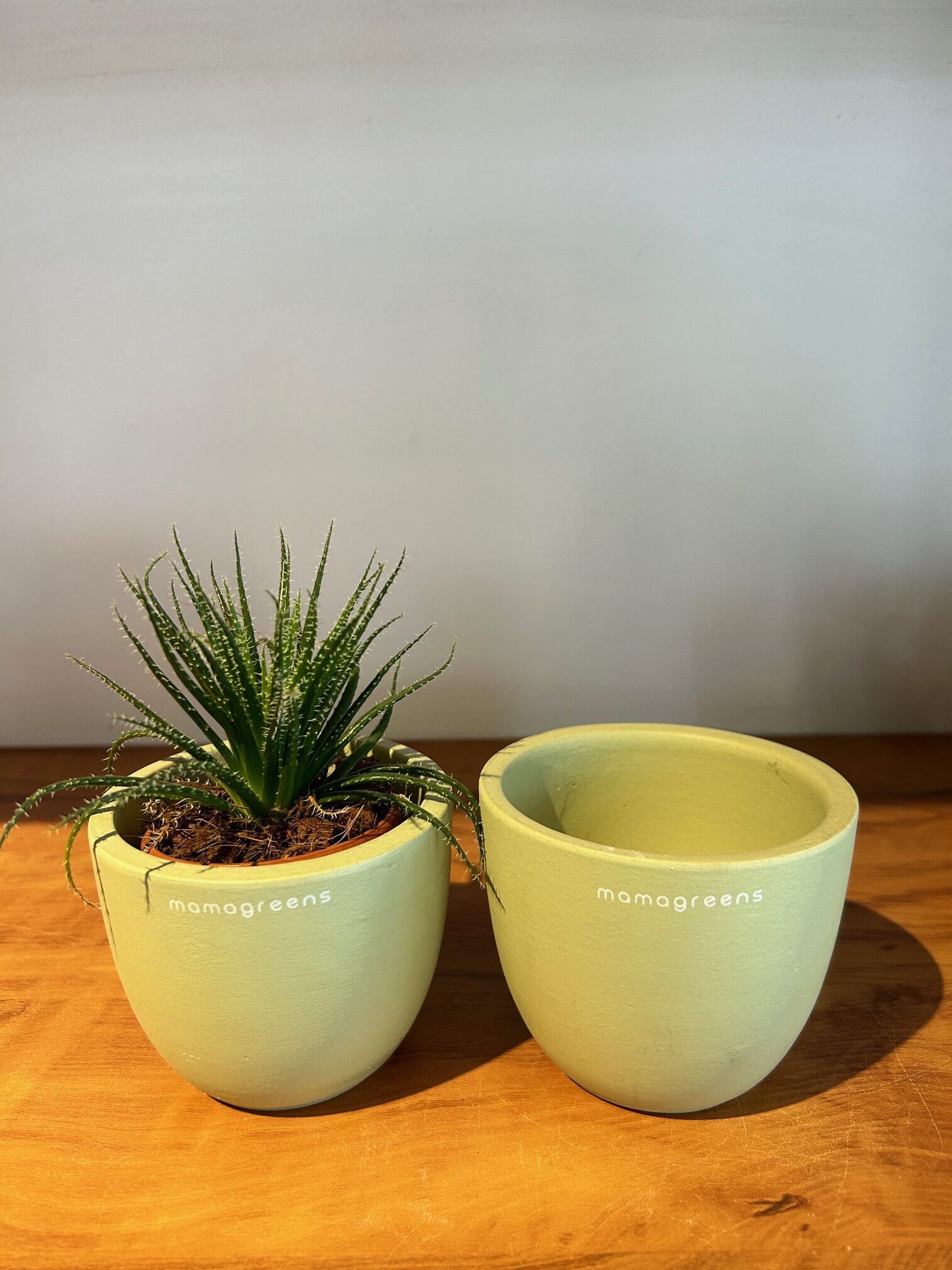 TERRACOTTA PLANTER - GREEN - Image 2