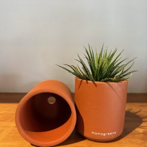 TERRACOTTA PLANTER - BROWN